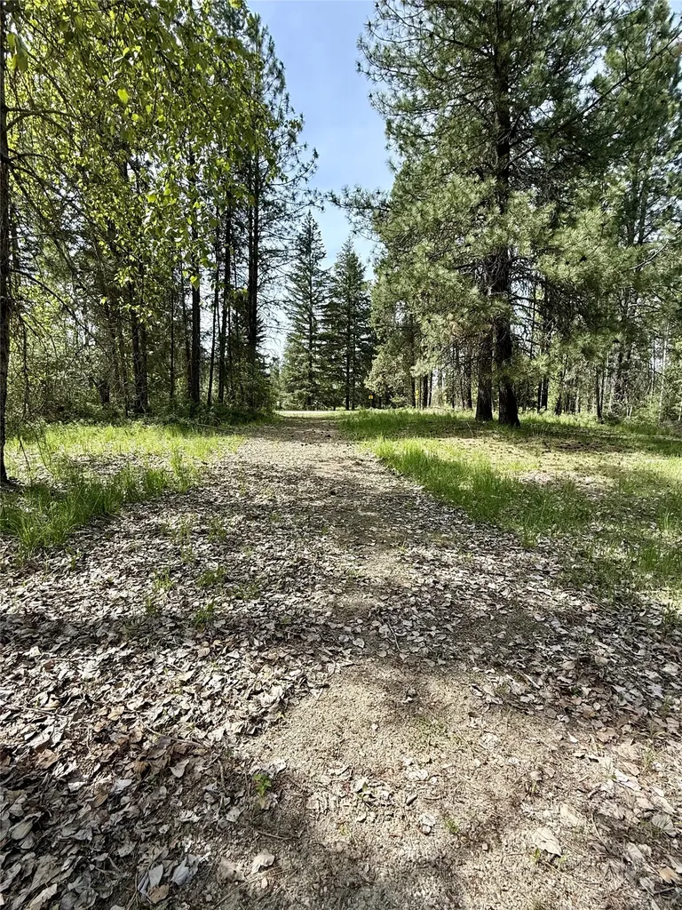 7 Old Cottonwood Lane Trout Creek MT 59874