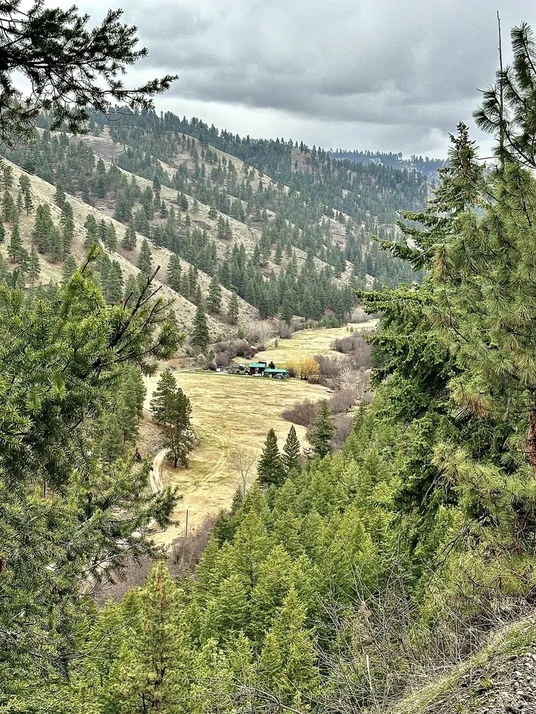 1977 Rocky Top Road Hamilton MT 59840