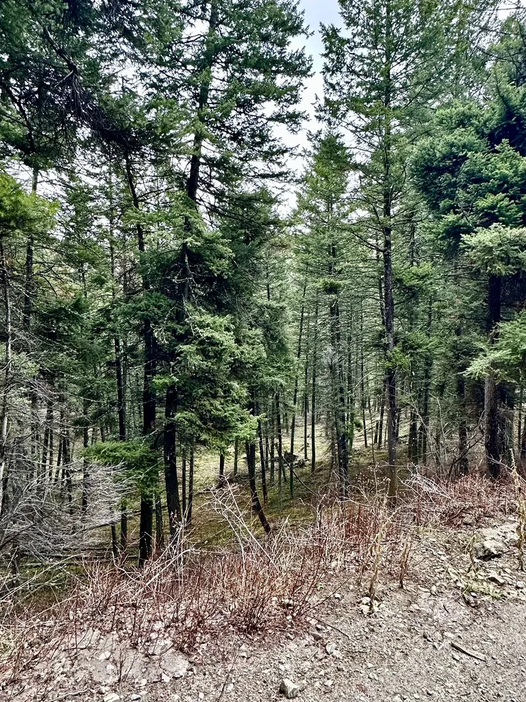 1977 Rocky Top Road Hamilton MT 59840