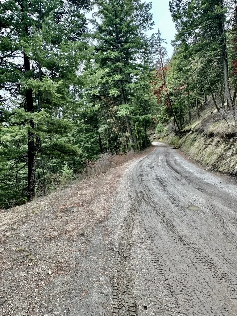 1977 Rocky Top Road Hamilton MT 59840