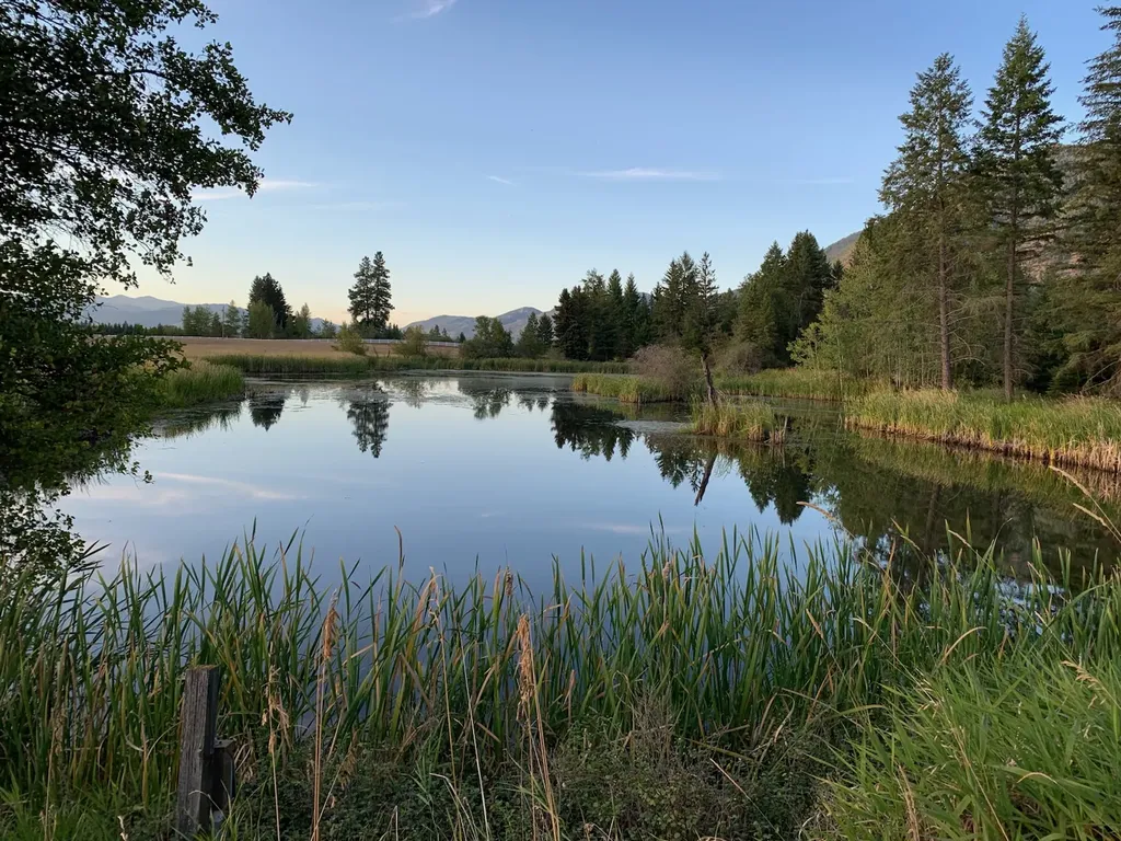 1335 Mooring Road Columbia Falls MT 59912