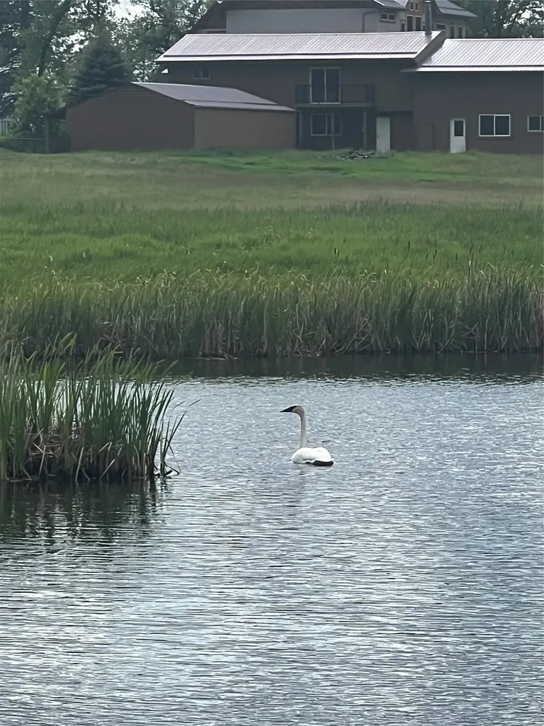 1335 Mooring Road Columbia Falls MT 59912