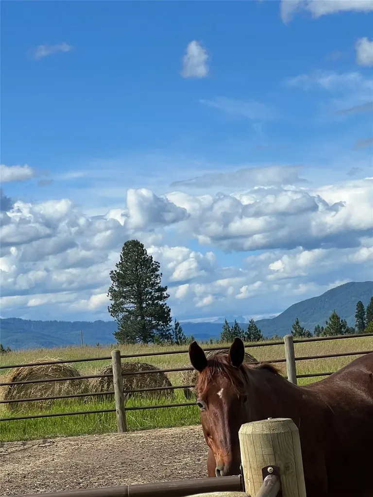 1335 Mooring Road Columbia Falls MT 59912