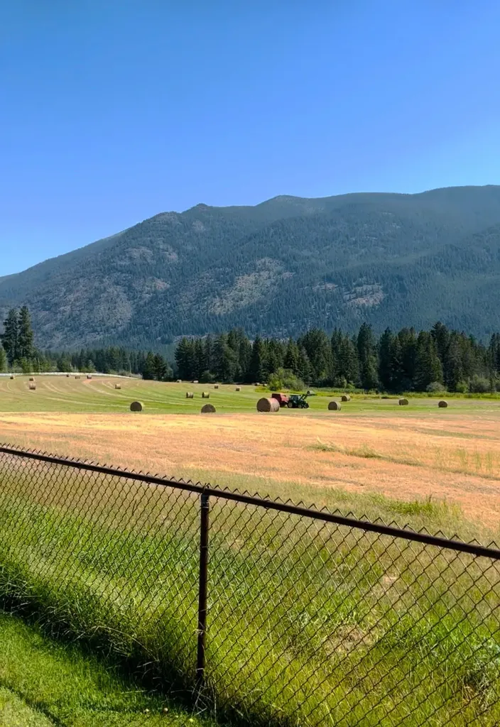 1335 Mooring Road Columbia Falls MT 59912
