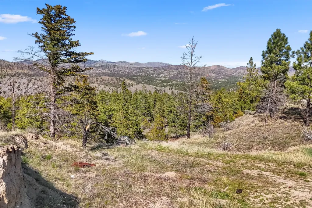 4060 Osprey Ridge Drive Helena MT 59602