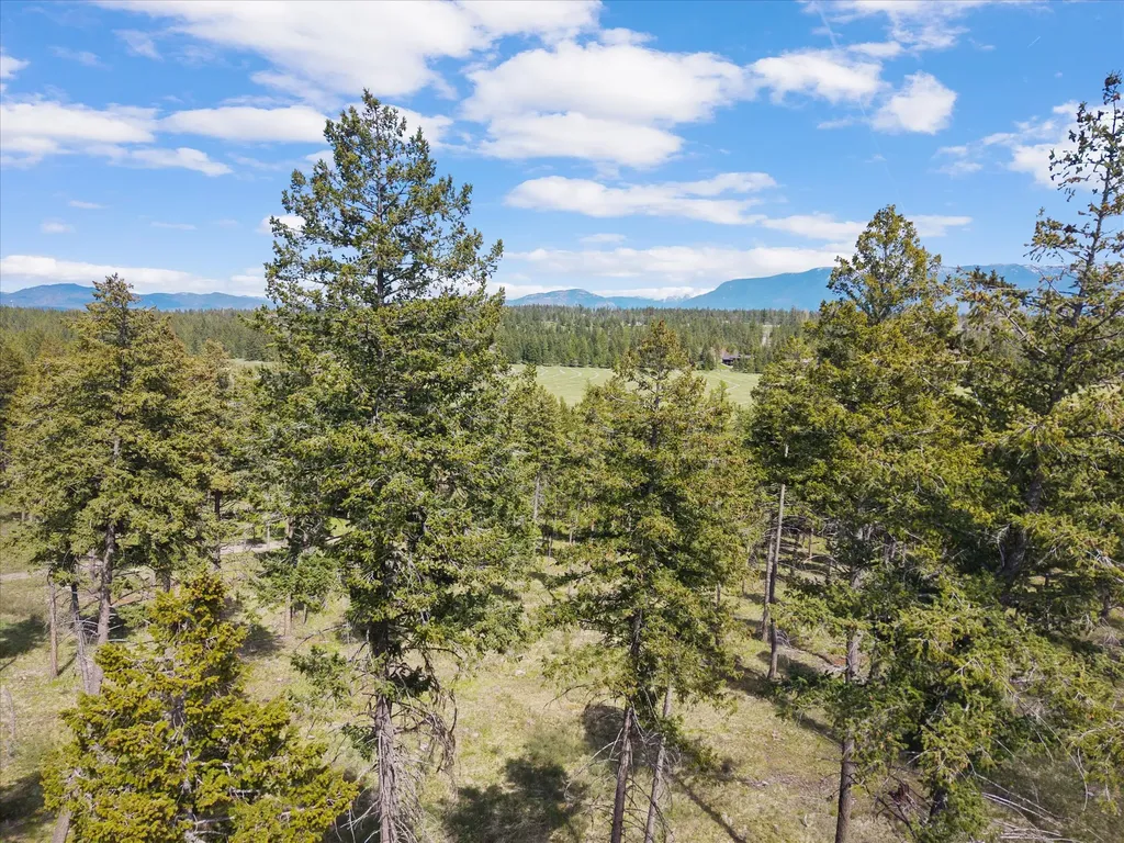 245 Layton Road Whitefish MT 59937