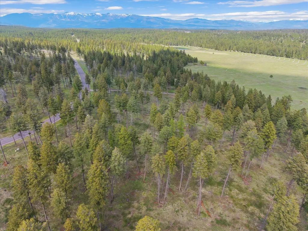 245 Layton Road Whitefish MT 59937