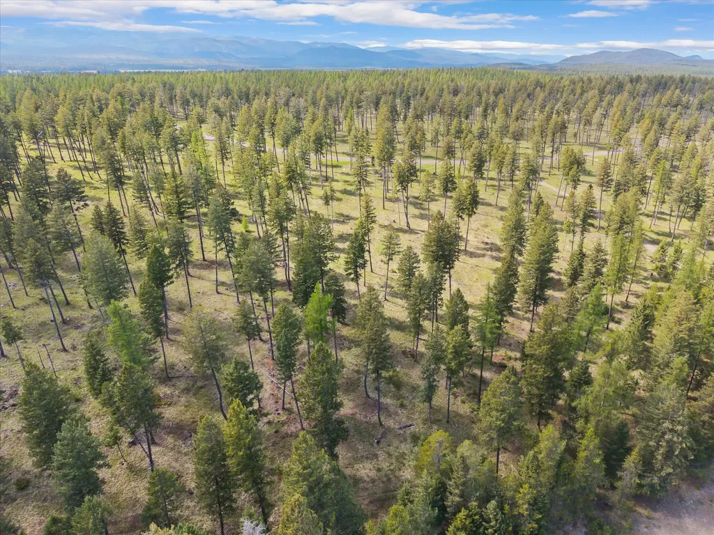 245 Layton Road Whitefish MT 59937