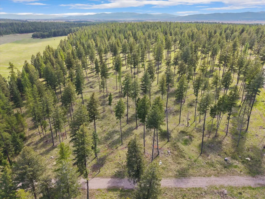 245 Layton Road Whitefish MT 59937