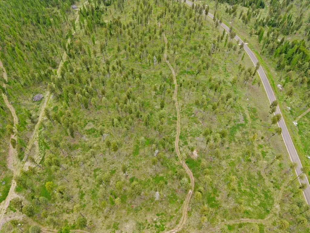 296 Layton Road Whitefish MT 59937