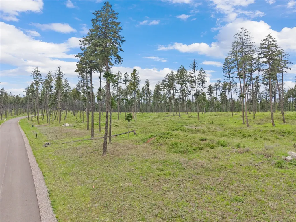 296 Layton Road Whitefish MT 59937