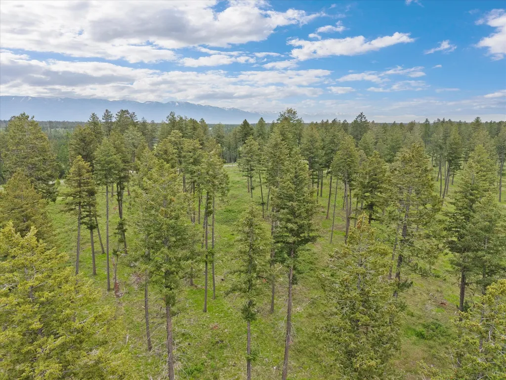 296 Layton Road Whitefish MT 59937