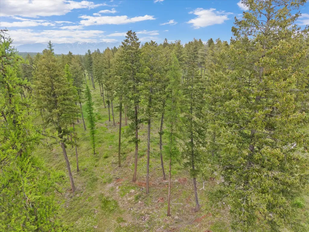 296 Layton Road Whitefish MT 59937