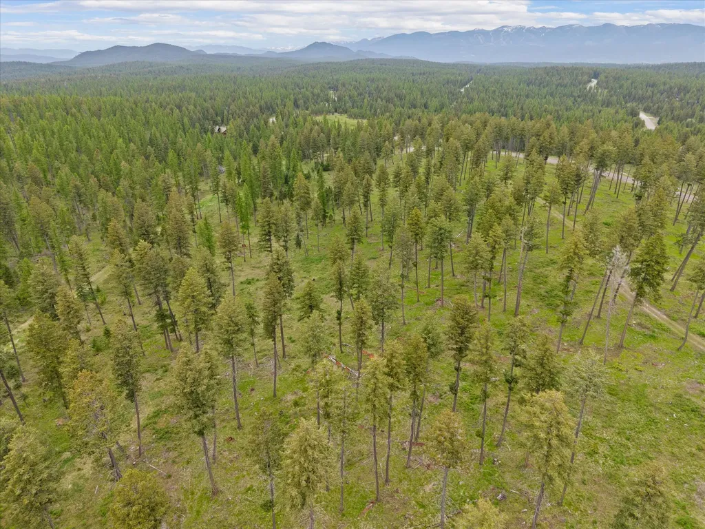 296 Layton Road Whitefish MT 59937