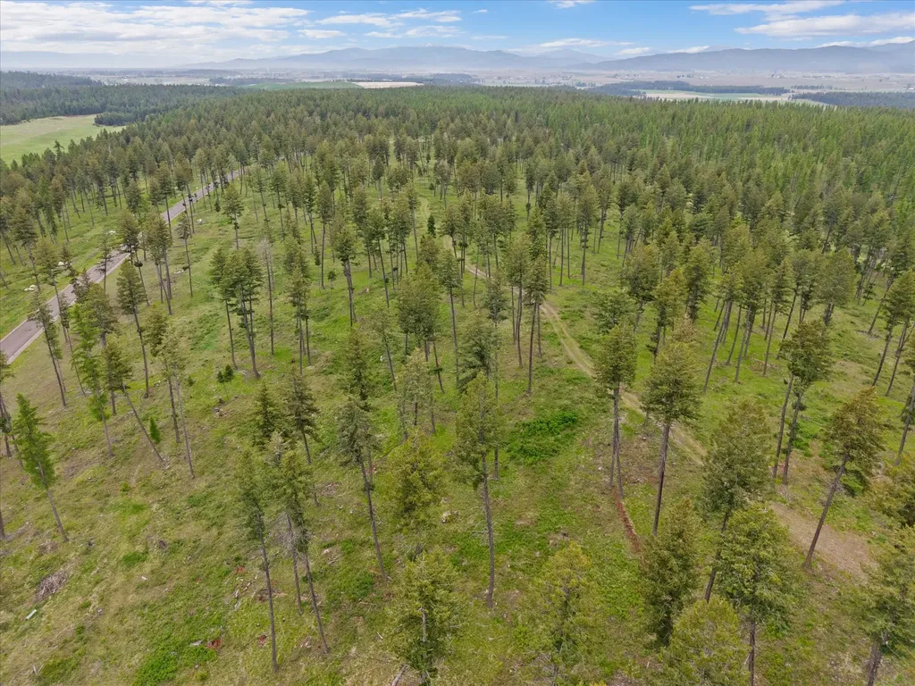 296 Layton Road Whitefish MT 59937