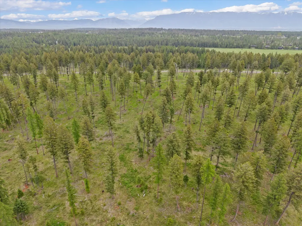 296 Layton Road Whitefish MT 59937