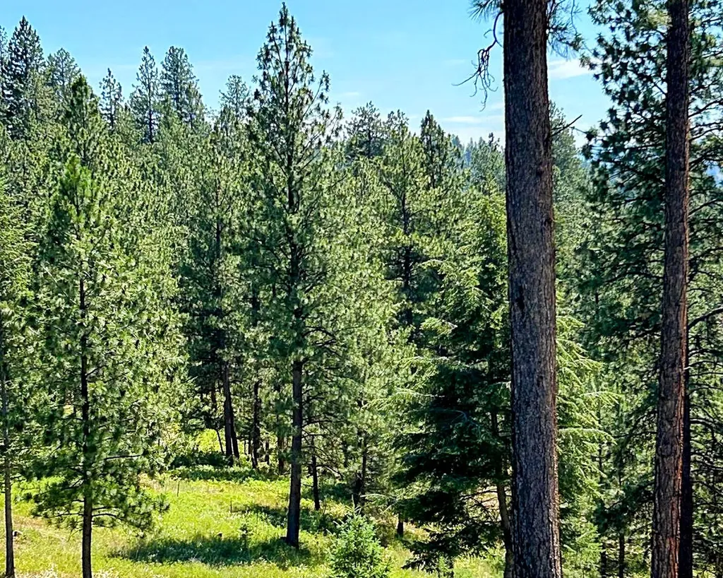 11509 Timber Ridge Lane Missoula MT 59808