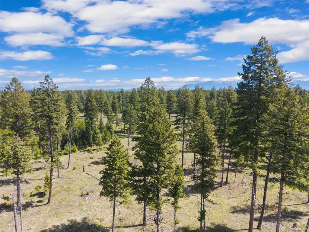 327 Layton Road Whitefish MT 59937