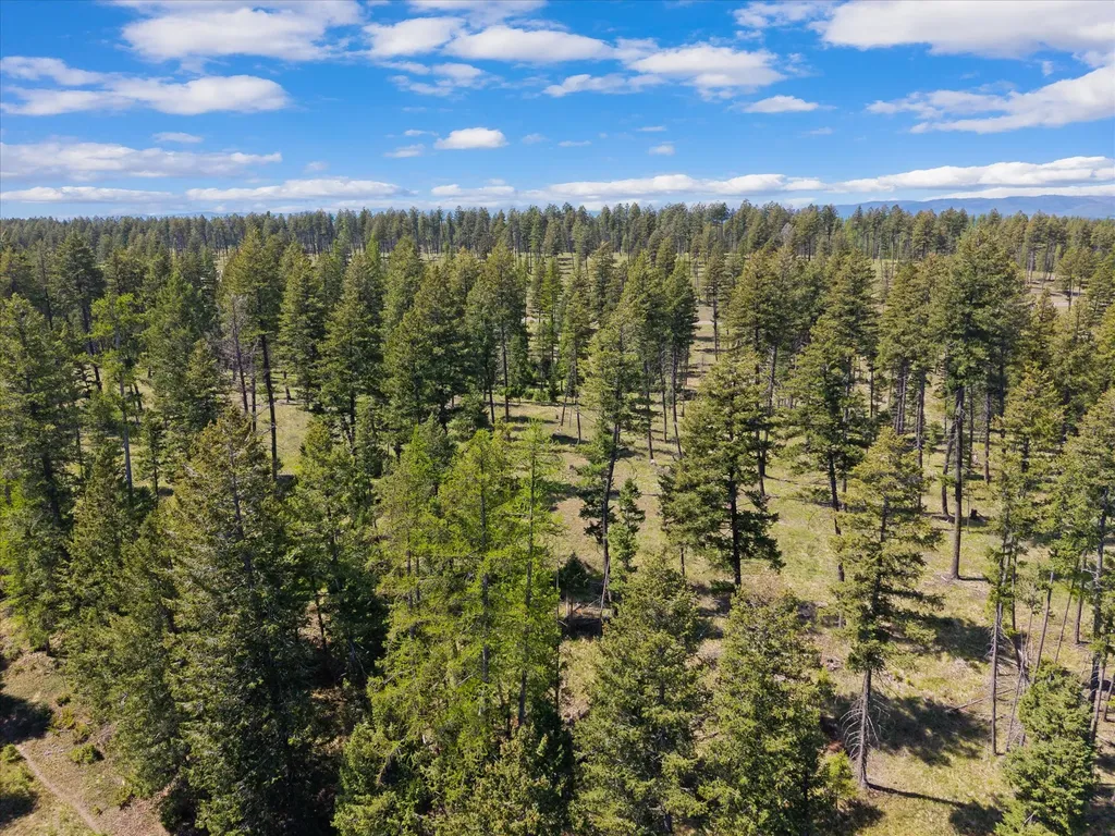327 Layton Road Whitefish MT 59937