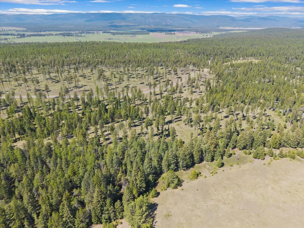 327 Layton Road Whitefish MT 59937