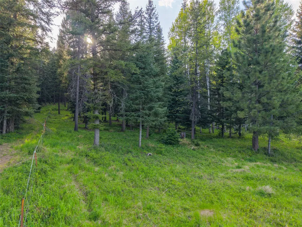 108 Bobtail Meadow Road Libby MT 59923