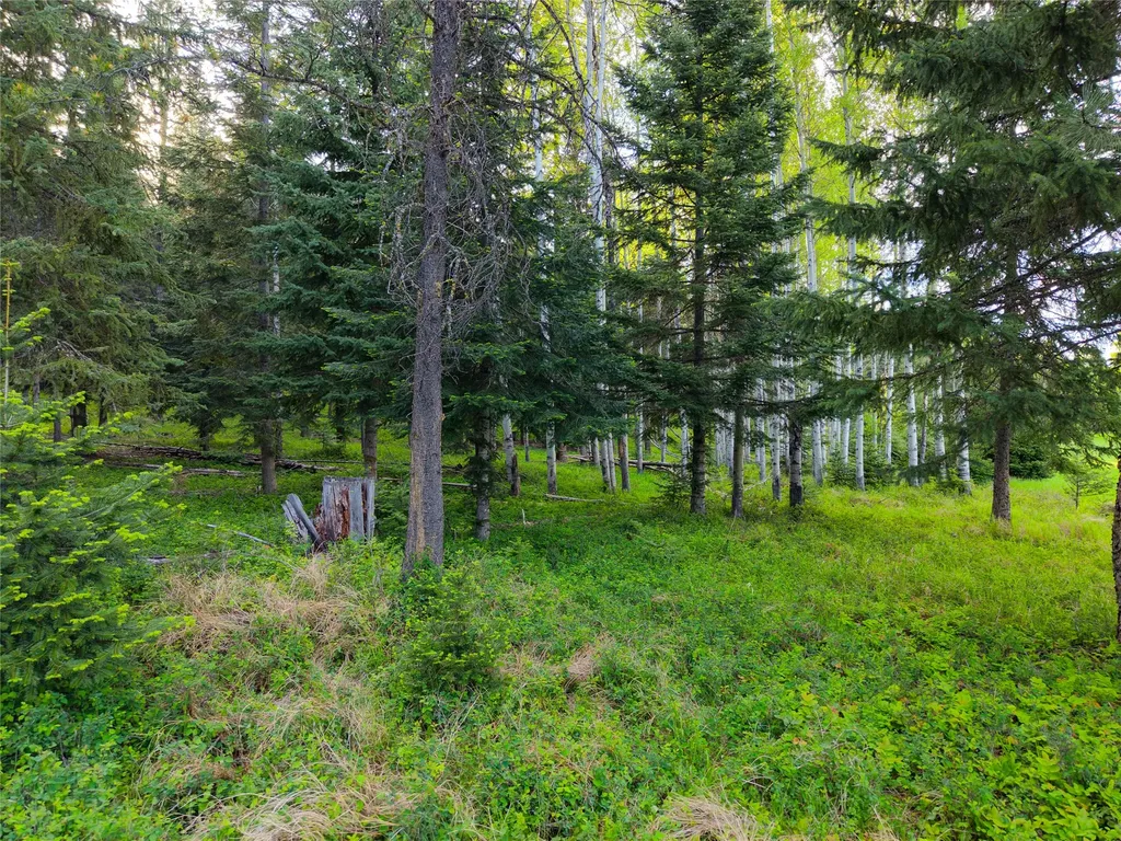 108 Bobtail Meadow Road Libby MT 59923