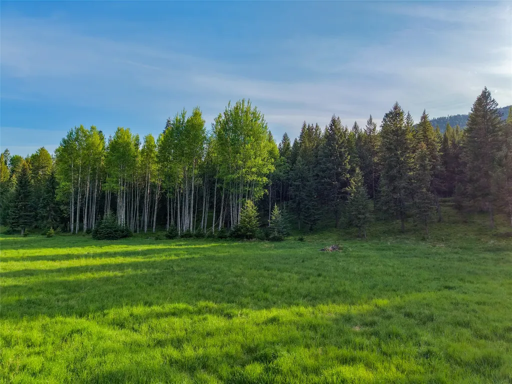 108 Bobtail Meadow Road Libby MT 59923