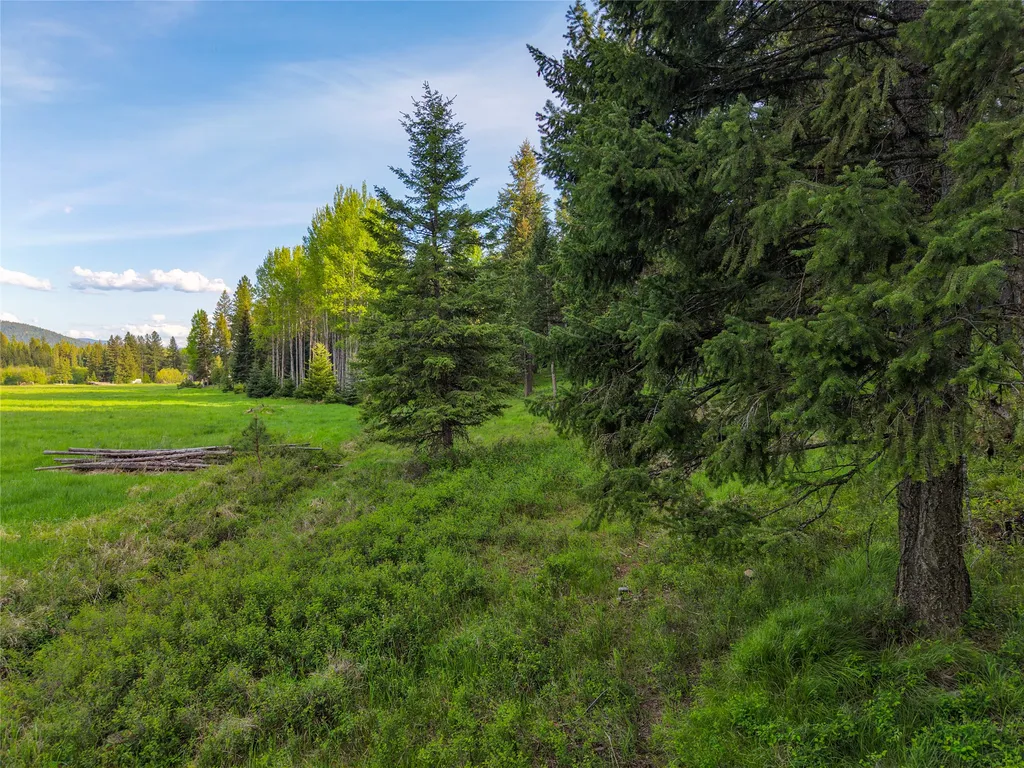 108 Bobtail Meadow Road Libby MT 59923