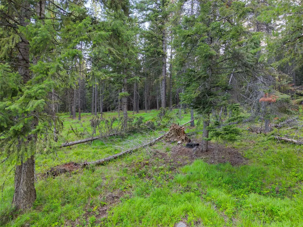 108 Bobtail Meadow Road Libby MT 59923
