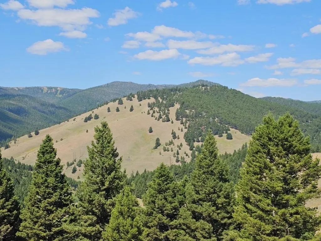 Banner Clancy Creek Road Clancy MT 59634