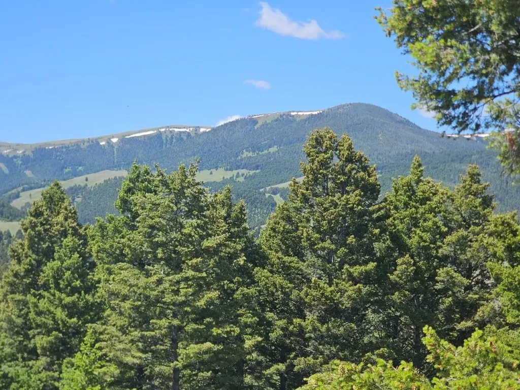 Banner Clancy Creek Road Clancy MT 59634
