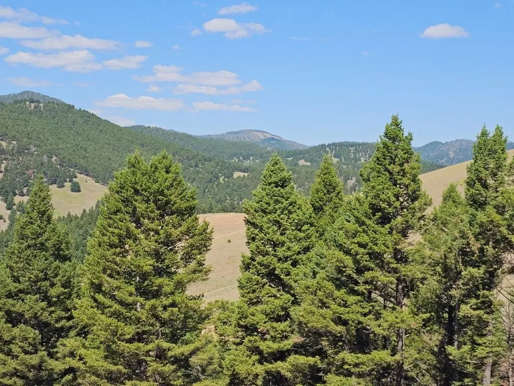 Banner Clancy Creek Road Clancy MT 59634