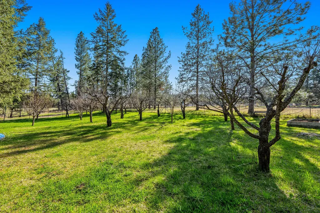 701 Mccaffery Road Bigfork MT 59911