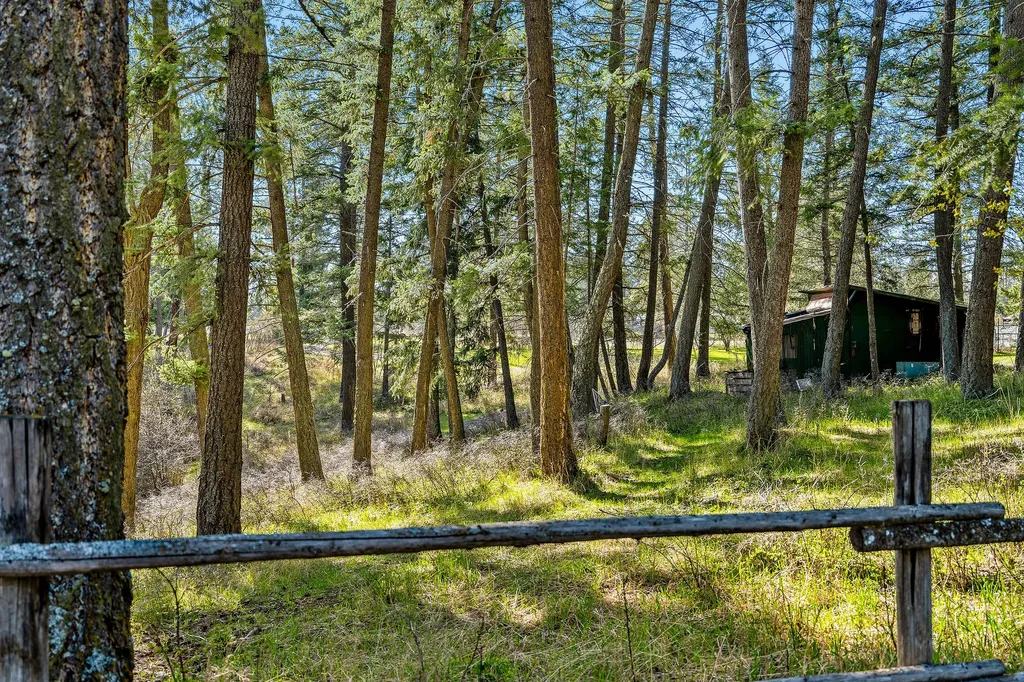 701 Mccaffery Road Bigfork MT 59911