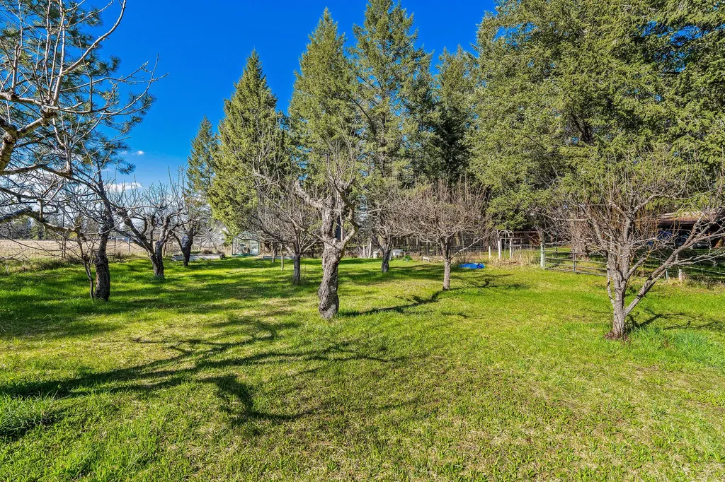 701 Mccaffery Road Bigfork MT 59911