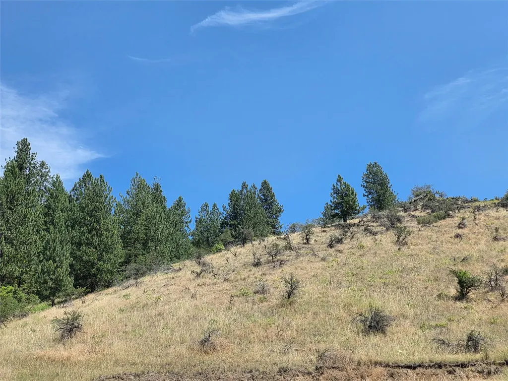 Lot 2 Railroad Avenue Plains MT 59859