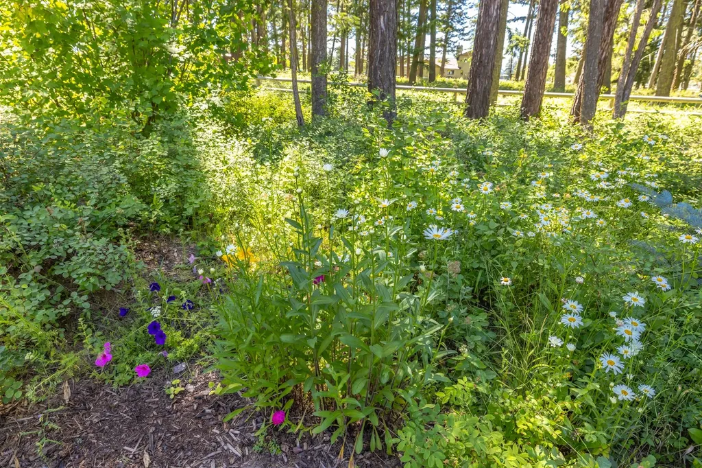 1090 Timber Ridge Court Columbia Falls MT 59912