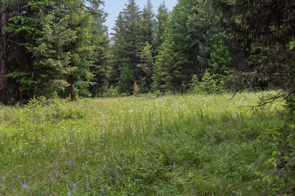 160 Pinkham Creek Road Rexford MT 59930