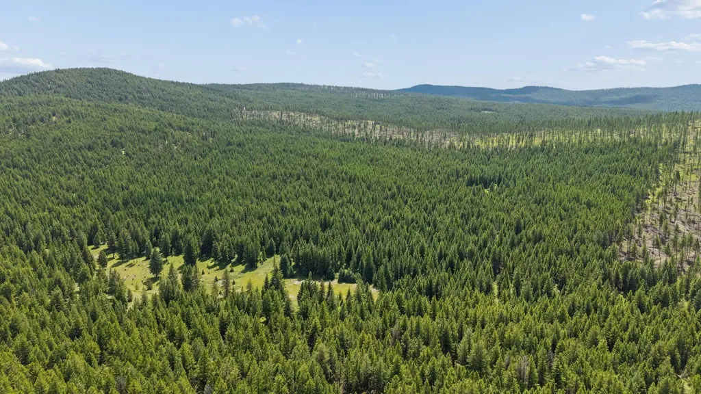 160 Pinkham Creek Road Rexford MT 59930