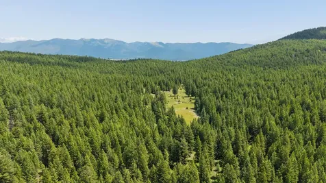 160 Pinkham Creek Road Rexford MT 59930