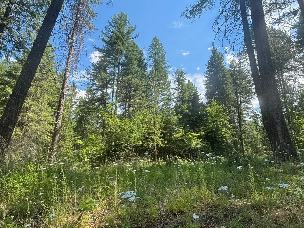 2297 Houston Point Drive Whitefish MT 59937