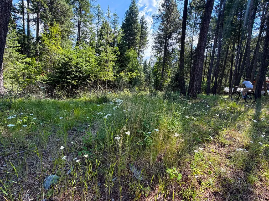 2297 Houston Point Drive Whitefish MT 59937