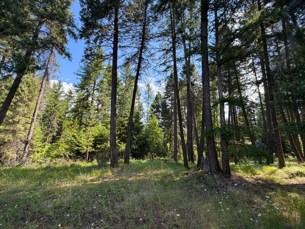 2297 Houston Point Drive Whitefish MT 59937