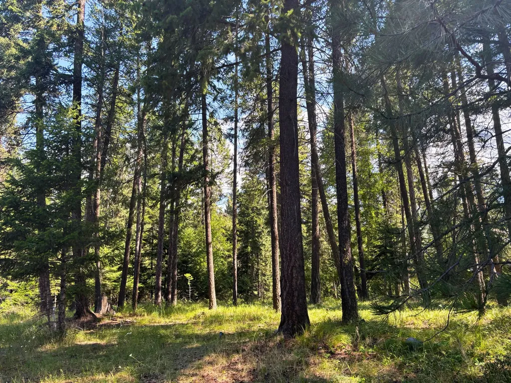 2297 Houston Point Drive Whitefish MT 59937