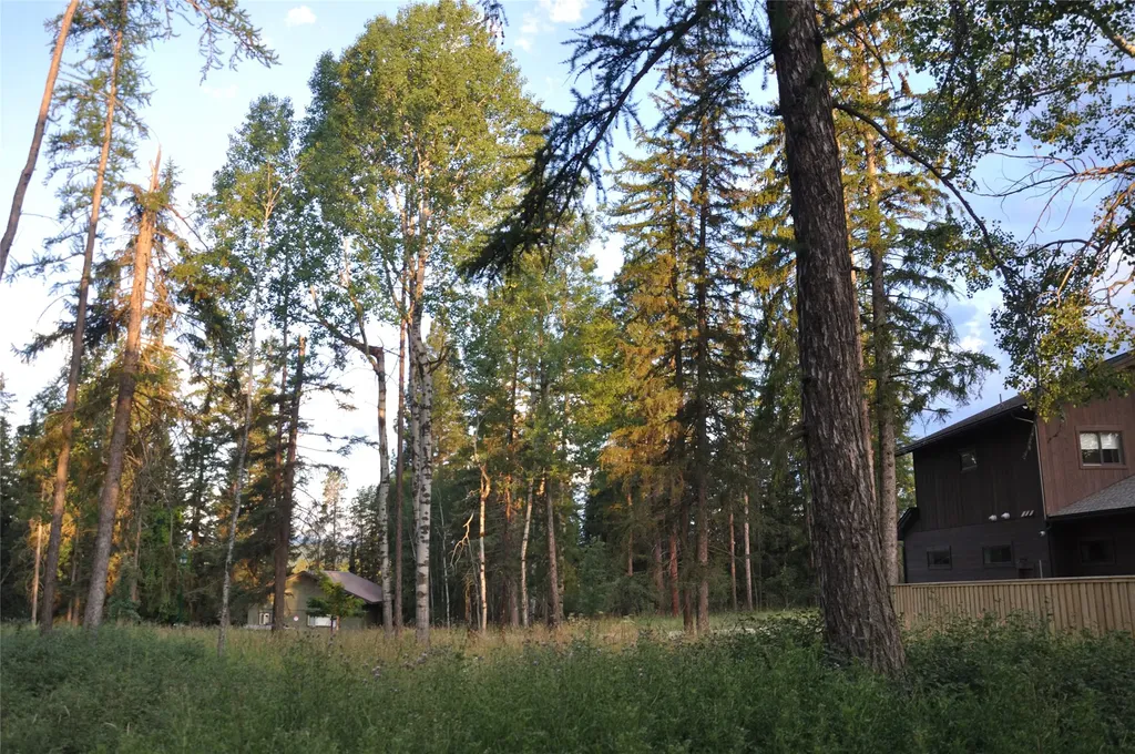 181 Mountain Brook Lane Whitefish MT 59937