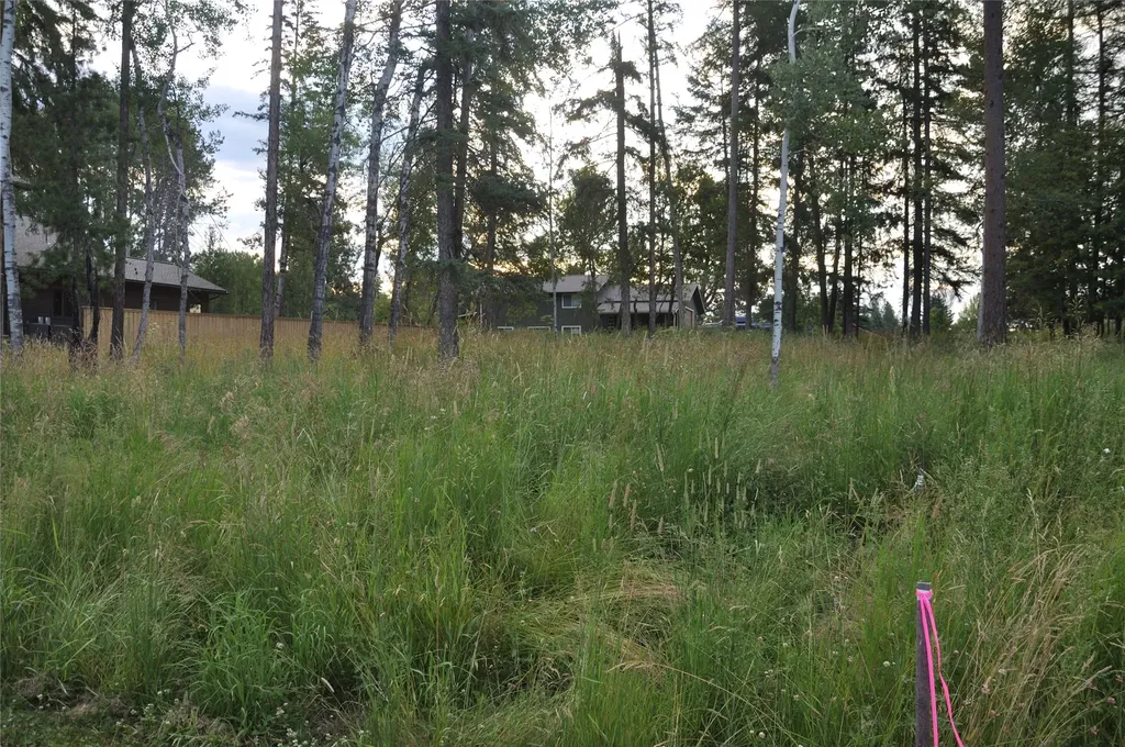 181 Mountain Brook Lane Whitefish MT 59937