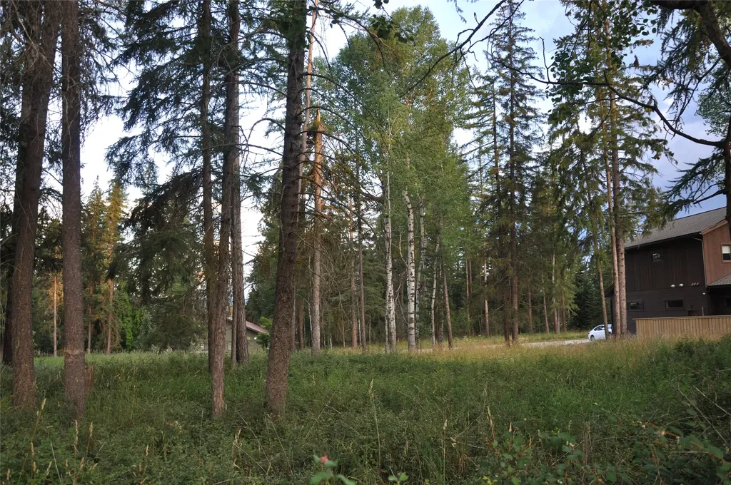 181 Mountain Brook Lane Whitefish MT 59937