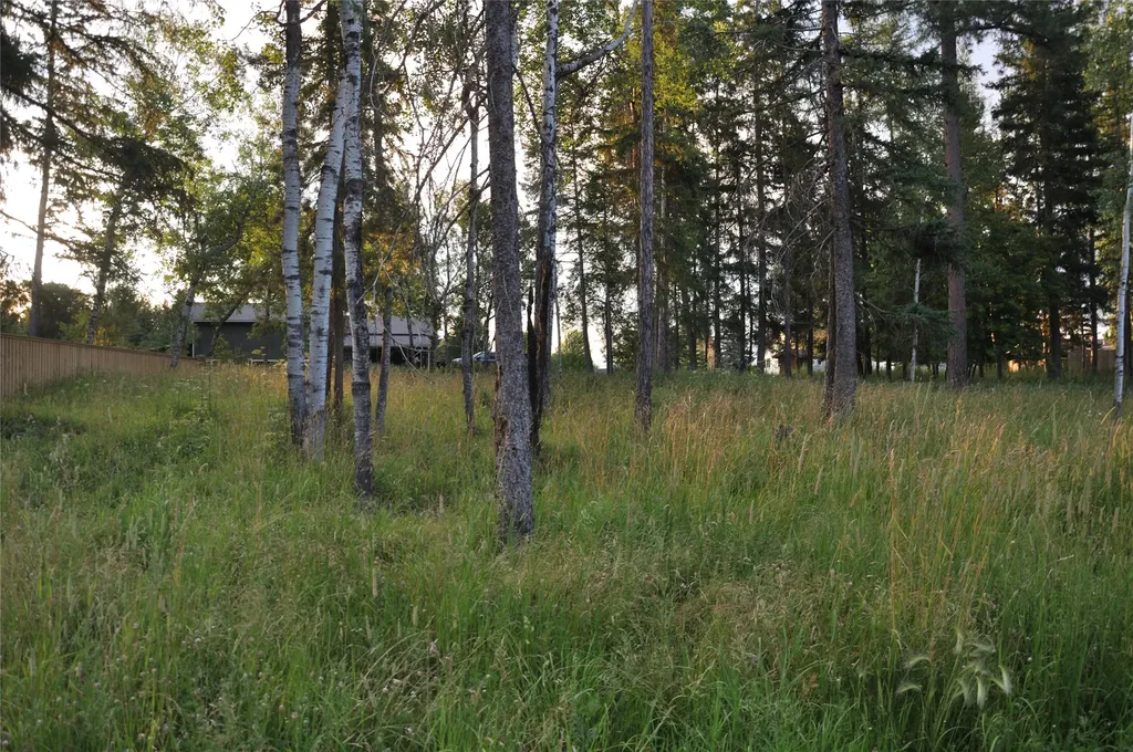 181 Mountain Brook Lane Whitefish MT 59937
