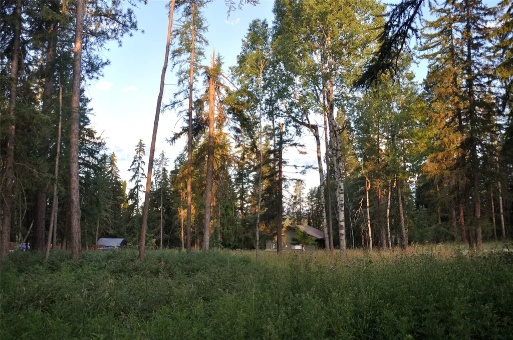 181 Mountain Brook Lane Whitefish MT 59937