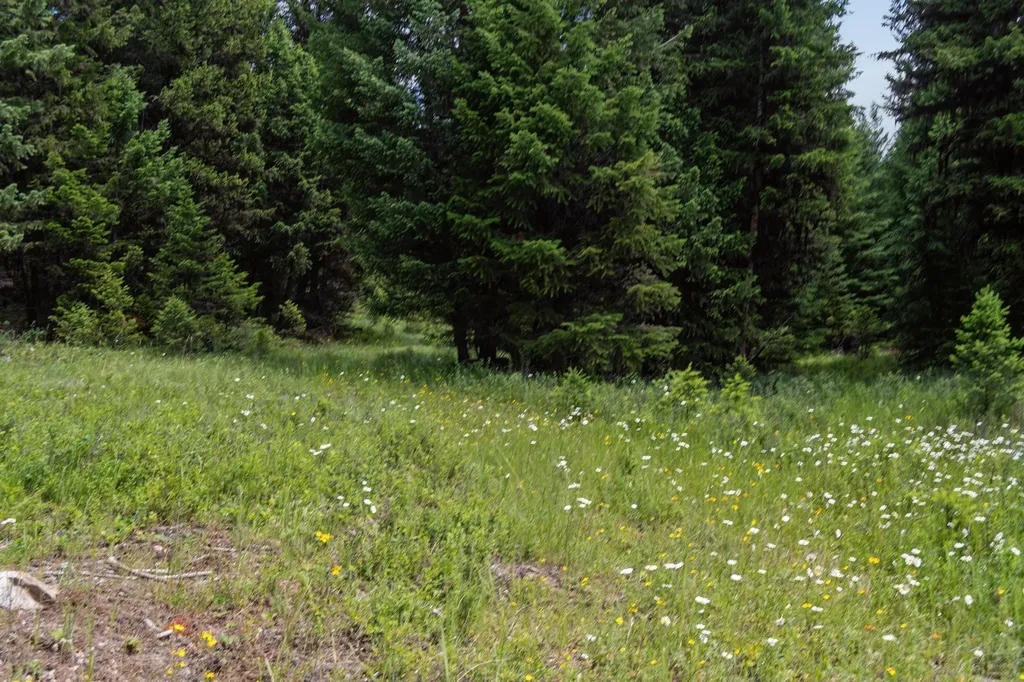 554 Pinkham Road Rexford MT 59930